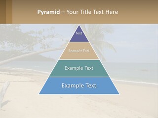 A Palm Tree On A Beach With The Ocean In The Background PowerPoint Template