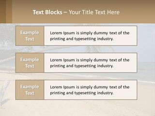 A Palm Tree On A Beach With The Ocean In The Background PowerPoint Template