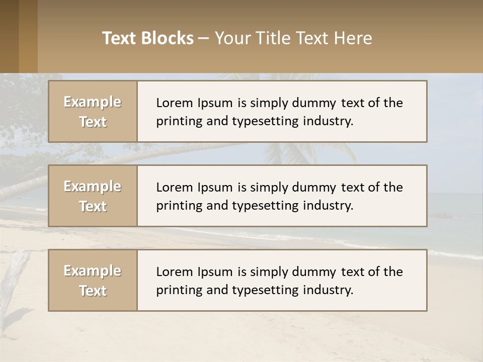 A Palm Tree On A Beach With The Ocean In The Background PowerPoint Template