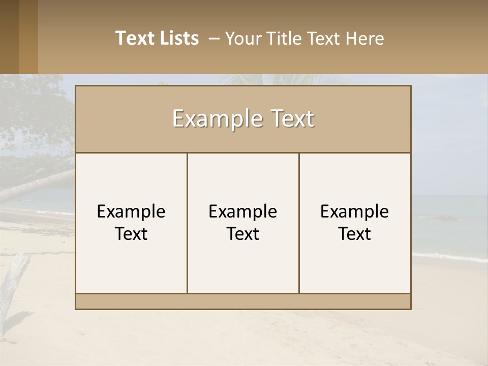 A Palm Tree On A Beach With The Ocean In The Background PowerPoint Template