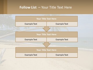 A Palm Tree On A Beach With The Ocean In The Background PowerPoint Template