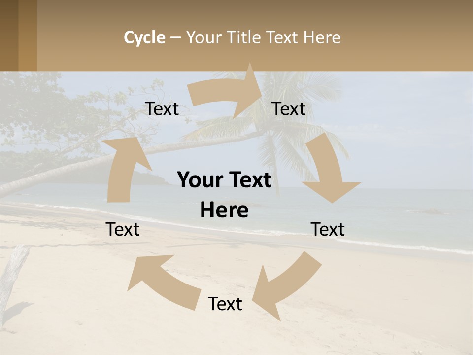 A Palm Tree On A Beach With The Ocean In The Background PowerPoint Template