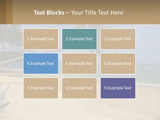 A Palm Tree On A Beach With The Ocean In The Background PowerPoint Template