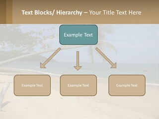 A Palm Tree On A Beach With The Ocean In The Background PowerPoint Template