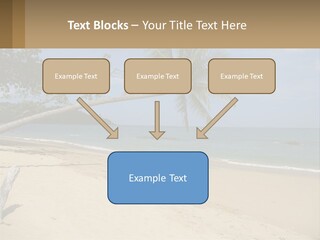 A Palm Tree On A Beach With The Ocean In The Background PowerPoint Template