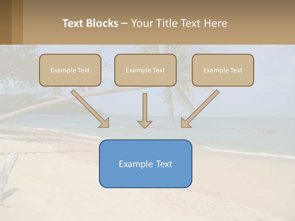 A Palm Tree On A Beach With The Ocean In The Background PowerPoint Template