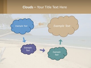 A Palm Tree On A Beach With The Ocean In The Background PowerPoint Template