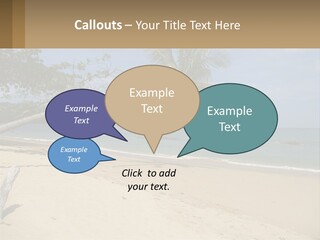 A Palm Tree On A Beach With The Ocean In The Background PowerPoint Template