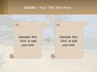 A Palm Tree On A Beach With The Ocean In The Background PowerPoint Template