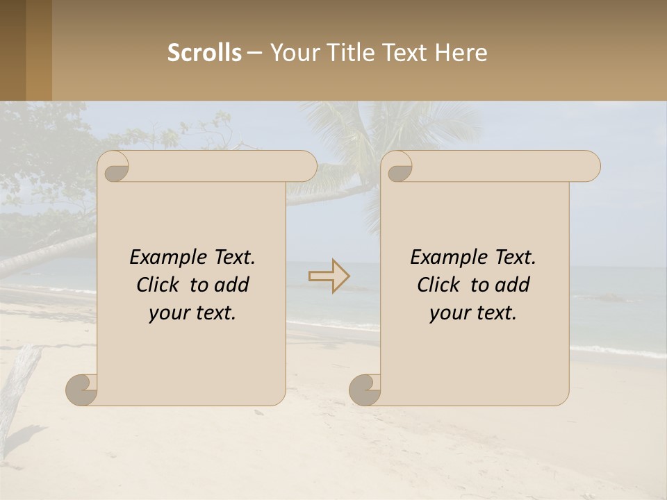 A Palm Tree On A Beach With The Ocean In The Background PowerPoint Template