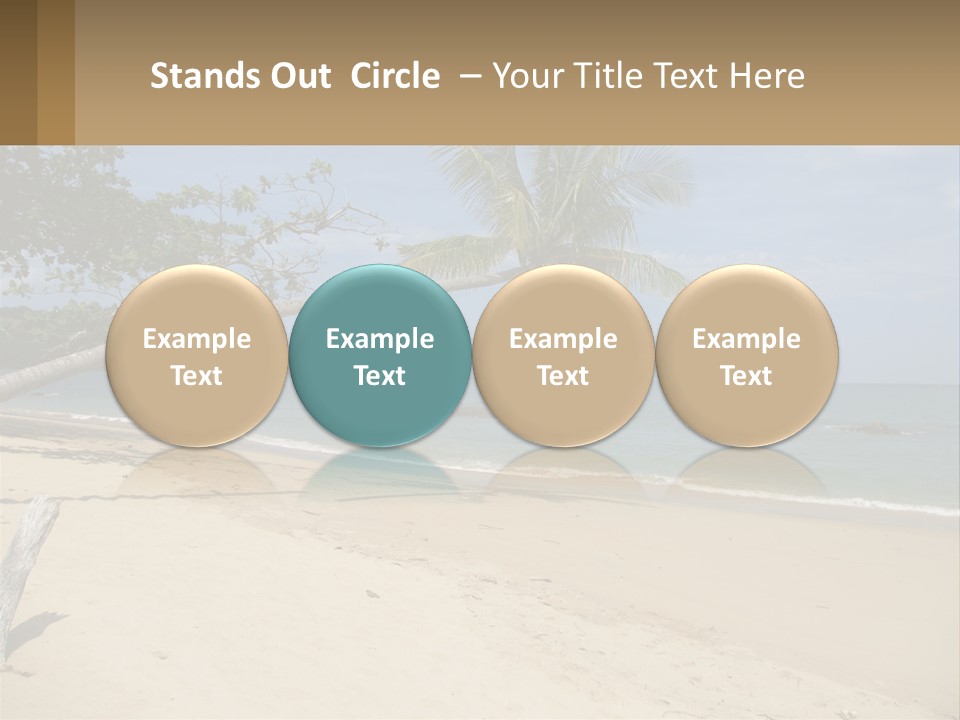 A Palm Tree On A Beach With The Ocean In The Background PowerPoint Template