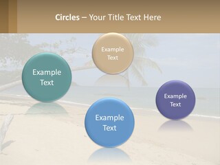 A Palm Tree On A Beach With The Ocean In The Background PowerPoint Template