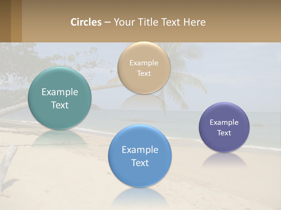 A Palm Tree On A Beach With The Ocean In The Background PowerPoint Template