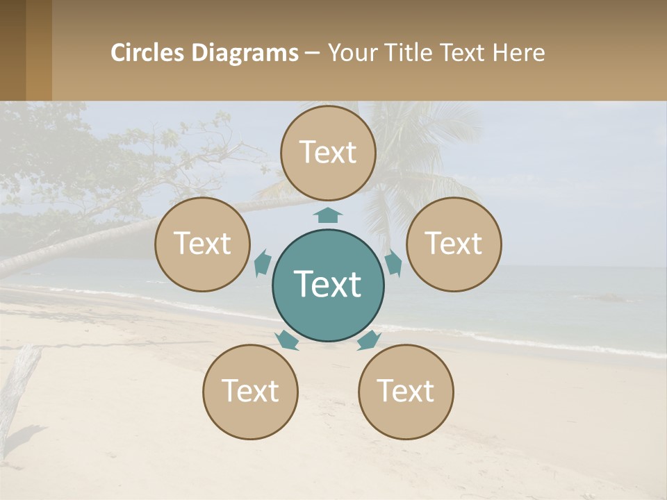 A Palm Tree On A Beach With The Ocean In The Background PowerPoint Template