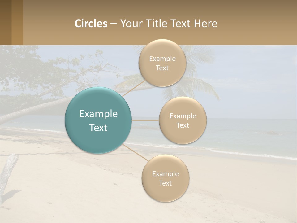 A Palm Tree On A Beach With The Ocean In The Background PowerPoint Template