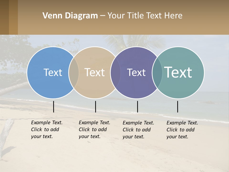 A Palm Tree On A Beach With The Ocean In The Background PowerPoint Template