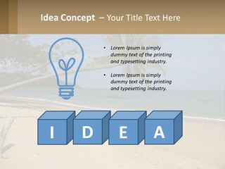 A Palm Tree On A Beach With The Ocean In The Background PowerPoint Template