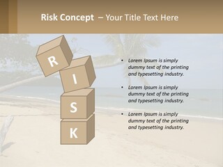 A Palm Tree On A Beach With The Ocean In The Background PowerPoint Template