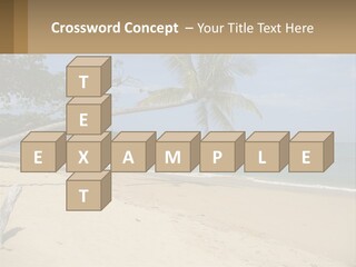 A Palm Tree On A Beach With The Ocean In The Background PowerPoint Template