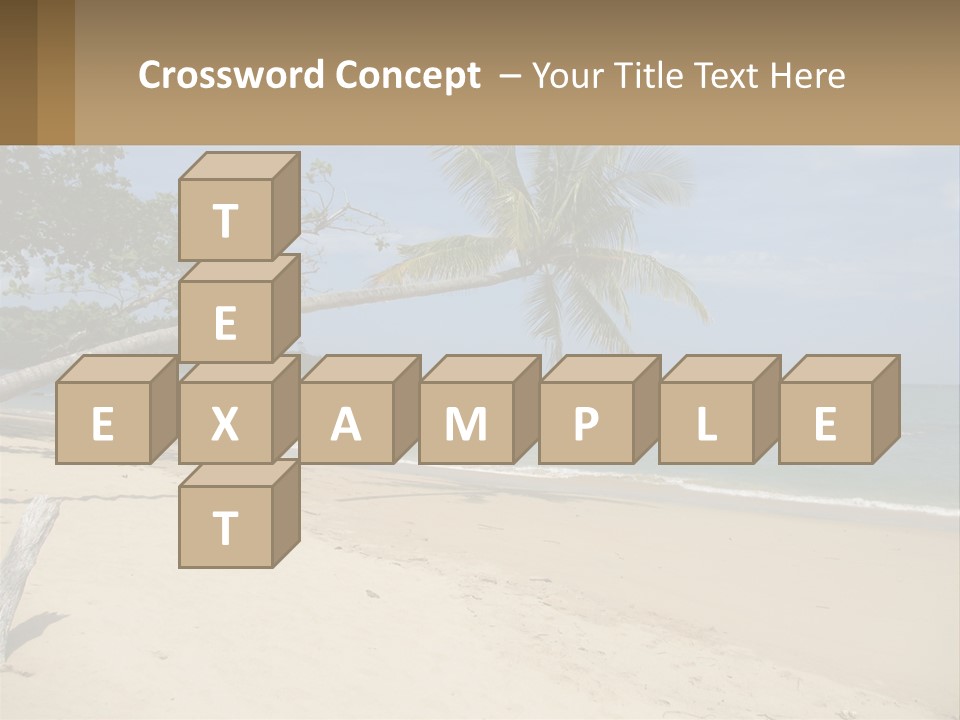 A Palm Tree On A Beach With The Ocean In The Background PowerPoint Template