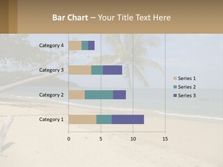 A Palm Tree On A Beach With The Ocean In The Background PowerPoint Template