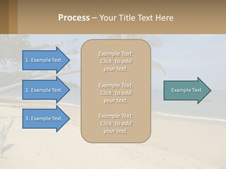 A Palm Tree On A Beach With The Ocean In The Background PowerPoint Template