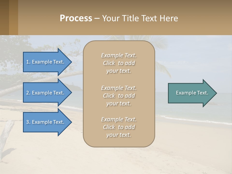 A Palm Tree On A Beach With The Ocean In The Background PowerPoint Template