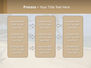 A Palm Tree On A Beach With The Ocean In The Background PowerPoint Template