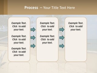 A Palm Tree On A Beach With The Ocean In The Background PowerPoint Template