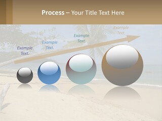 A Palm Tree On A Beach With The Ocean In The Background PowerPoint Template