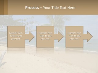 A Palm Tree On A Beach With The Ocean In The Background PowerPoint Template