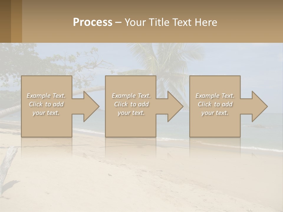 A Palm Tree On A Beach With The Ocean In The Background PowerPoint Template