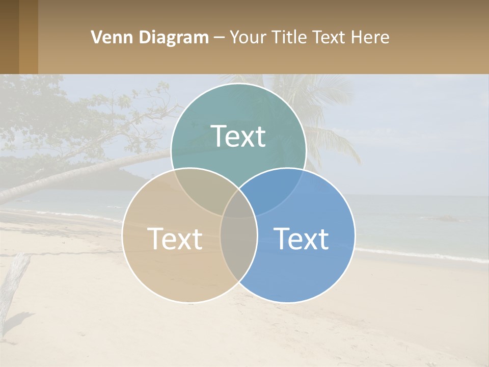 A Palm Tree On A Beach With The Ocean In The Background PowerPoint Template