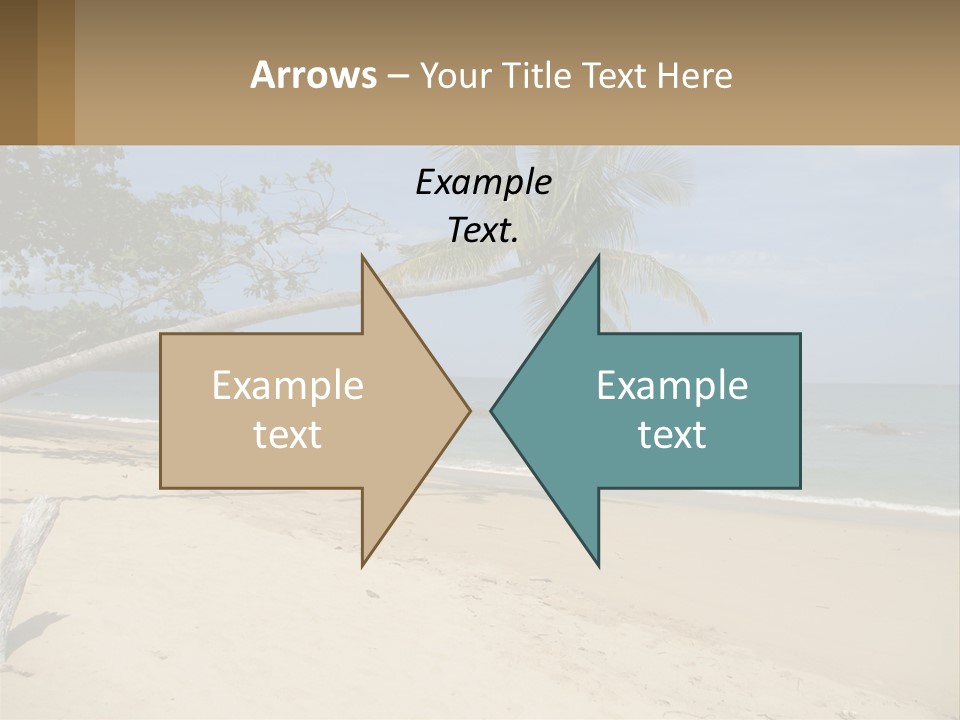 A Palm Tree On A Beach With The Ocean In The Background PowerPoint Template