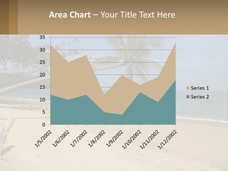 A Palm Tree On A Beach With The Ocean In The Background PowerPoint Template