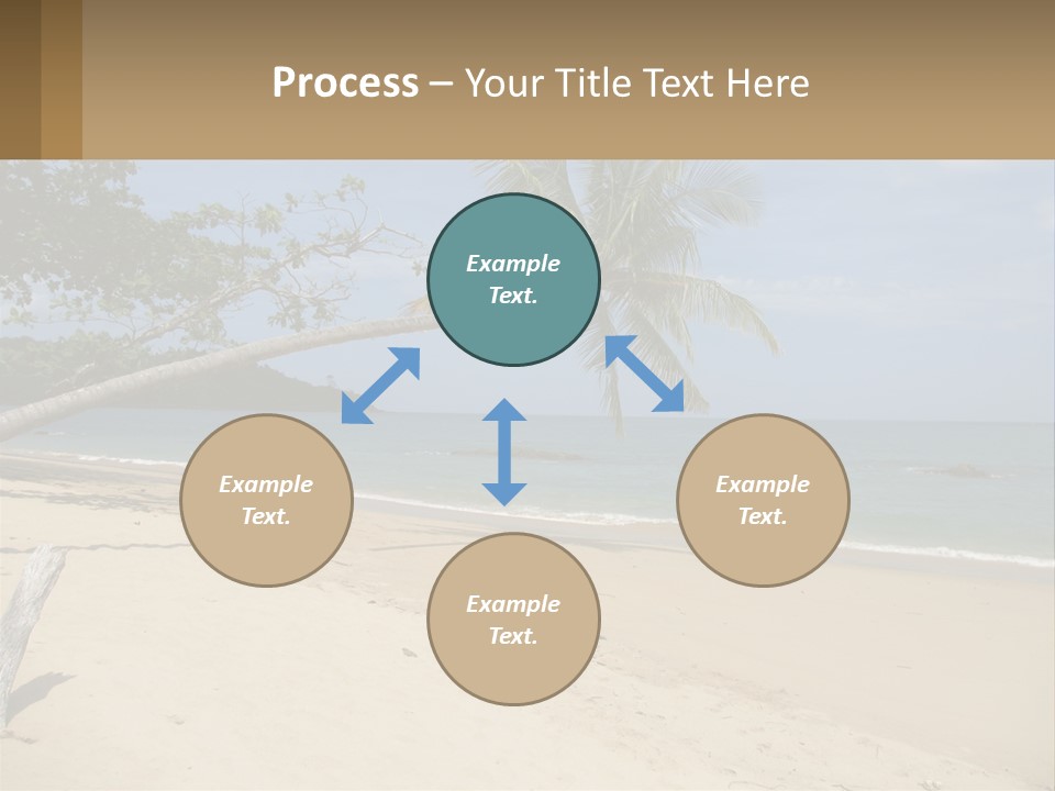 A Palm Tree On A Beach With The Ocean In The Background PowerPoint Template