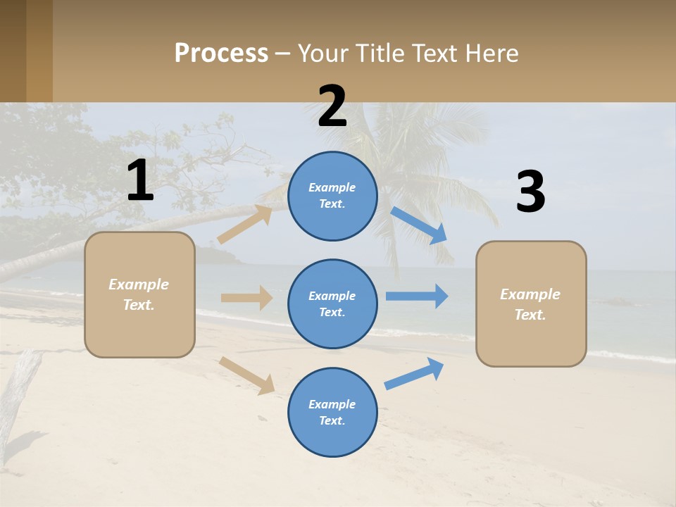 A Palm Tree On A Beach With The Ocean In The Background PowerPoint Template