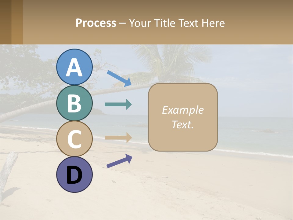 A Palm Tree On A Beach With The Ocean In The Background PowerPoint Template