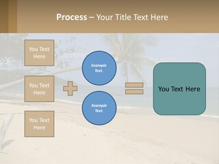 A Palm Tree On A Beach With The Ocean In The Background PowerPoint Template