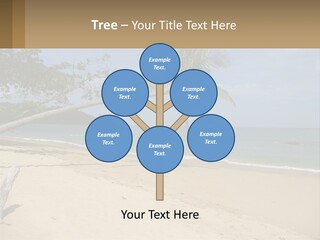 A Palm Tree On A Beach With The Ocean In The Background PowerPoint Template