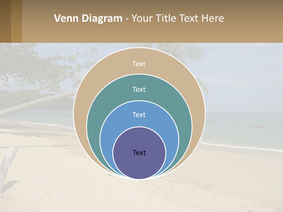 A Palm Tree On A Beach With The Ocean In The Background PowerPoint Template