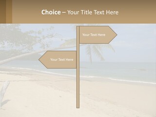 A Palm Tree On A Beach With The Ocean In The Background PowerPoint Template