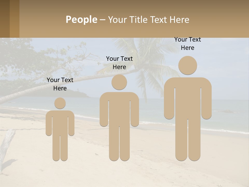 A Palm Tree On A Beach With The Ocean In The Background PowerPoint Template