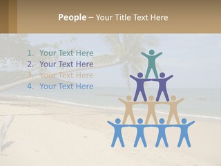 A Palm Tree On A Beach With The Ocean In The Background PowerPoint Template