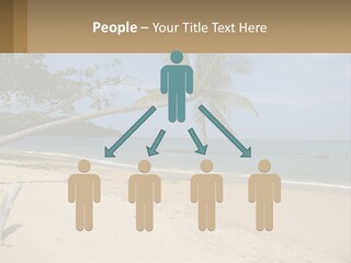 A Palm Tree On A Beach With The Ocean In The Background PowerPoint Template