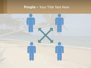 A Palm Tree On A Beach With The Ocean In The Background PowerPoint Template