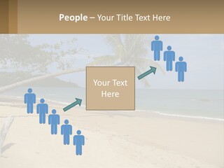 A Palm Tree On A Beach With The Ocean In The Background PowerPoint Template