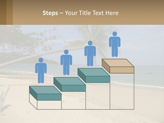 A Palm Tree On A Beach With The Ocean In The Background PowerPoint Template