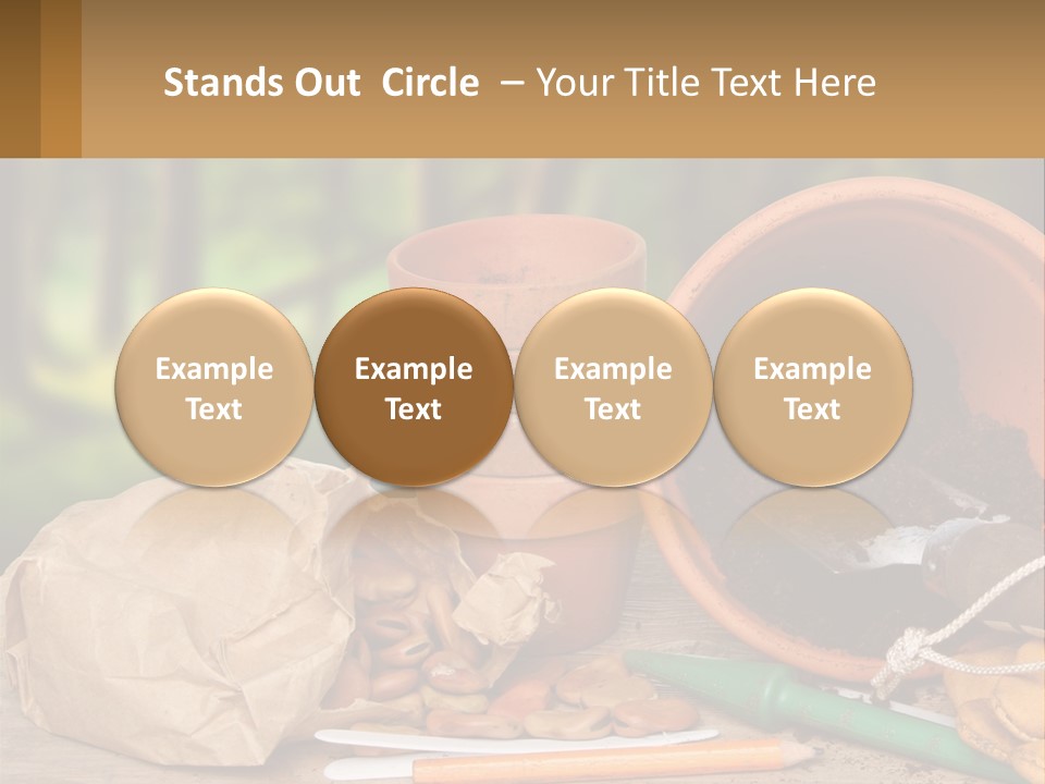 A Potted Plant Next To A Pile Of Dirt PowerPoint Template