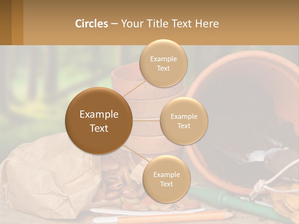 A Potted Plant Next To A Pile Of Dirt PowerPoint Template